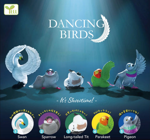 Dancing Birds