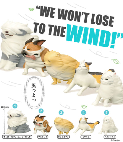 Windy Pets