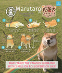 Rejection! Shiba Inu Maru